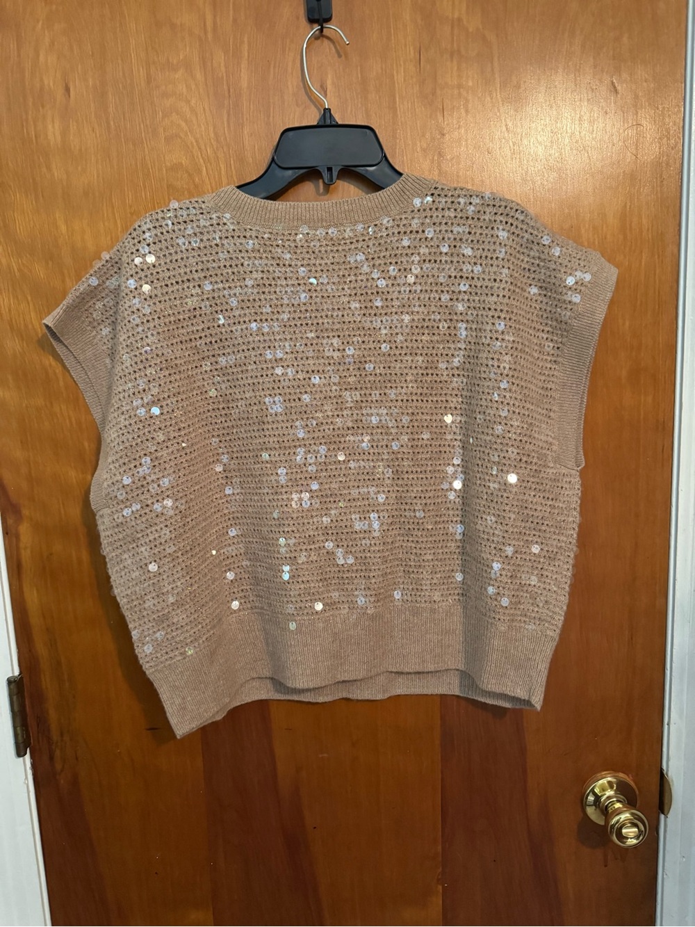 Madewell Taupe V-Neck Sequin Open-Knit Sweater Vest - Picture 2 of 4